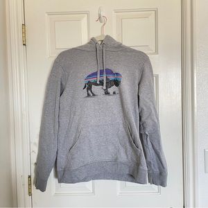 Patagonia Bison print Hoodie